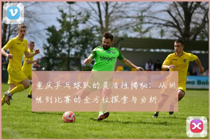 重庆乒乓球队的灵活性揭秘：从训练到比赛的全方位探索与分析