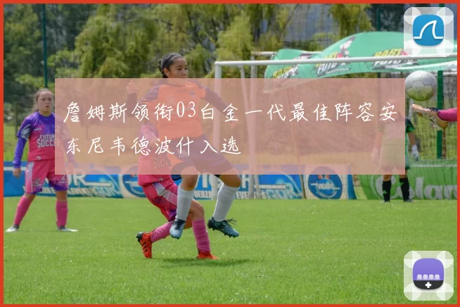 詹姆斯领衔03白金一代最佳阵容安东尼韦德波什入选