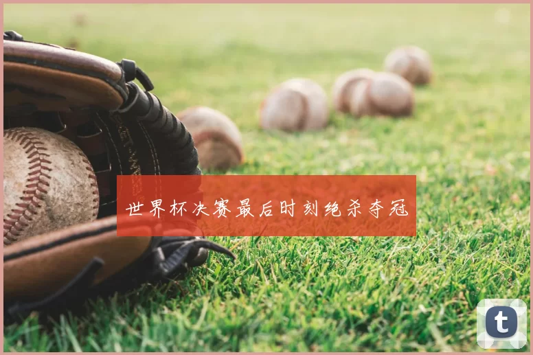 世界杯决赛最后时刻绝杀夺冠