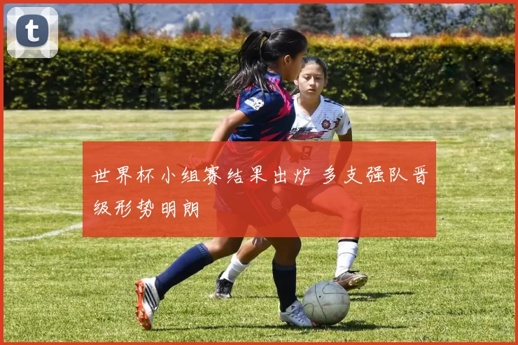 世界杯小组赛结果出炉 多支强队晋级形势明朗