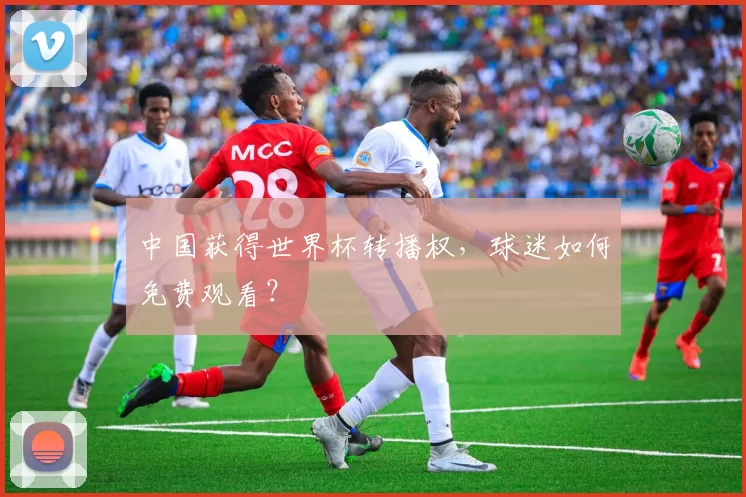 中国获得世界杯转播权,球迷如何免费观看?