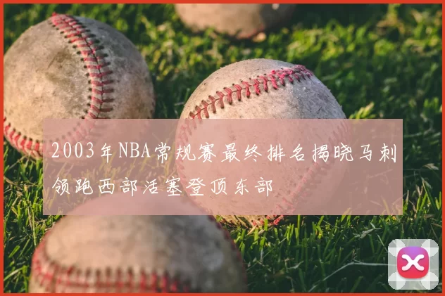 2003年NBA常规赛最终排名揭晓马刺领跑西部活塞登顶东部