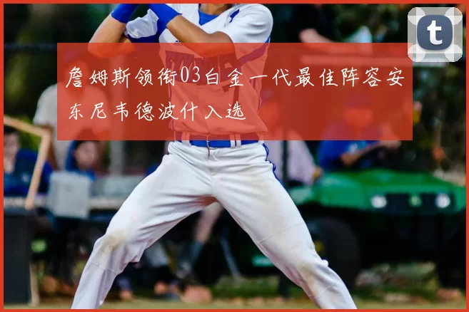 詹姆斯领衔03白金一代最佳阵容安东尼韦德波什入选