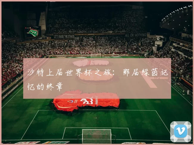 沙特上届世界杯之旅：那届绿茵记忆的终章