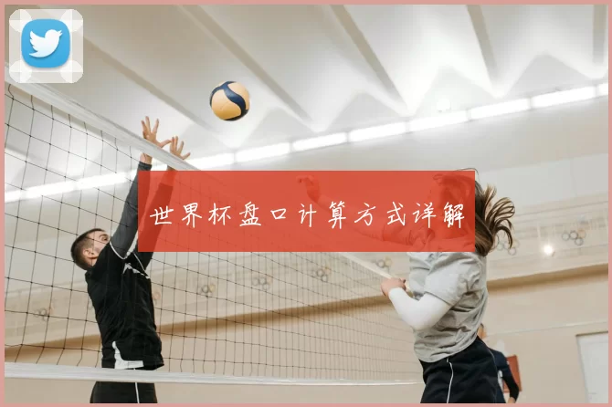 世界杯盘口计算方式详解
