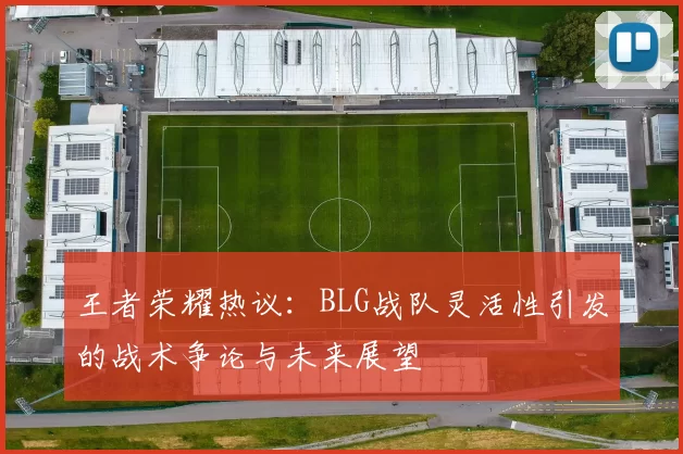 王者荣耀热议：BLG战队灵活性引发的战术争论与未来展望