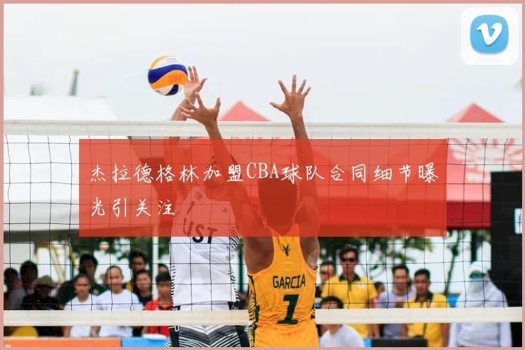 杰拉德格林加盟CBA球队合同细节曝光引关注