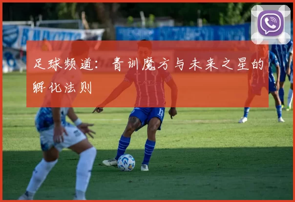 足球频道：青训魔方与未来之星的孵化法则