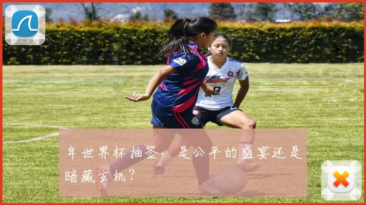 年世界杯抽签,是公平的盛宴还是暗藏玄机?