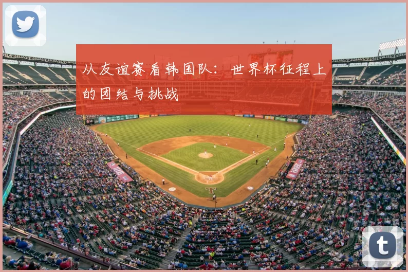 从友谊赛看韩国队:世界杯征程上的团结与挑战