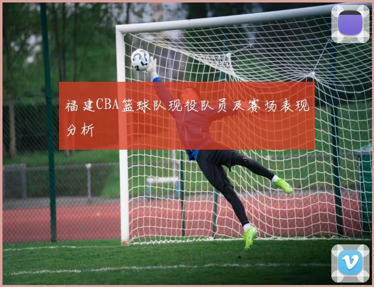 福建CBA篮球队现役队员及赛场表现分析