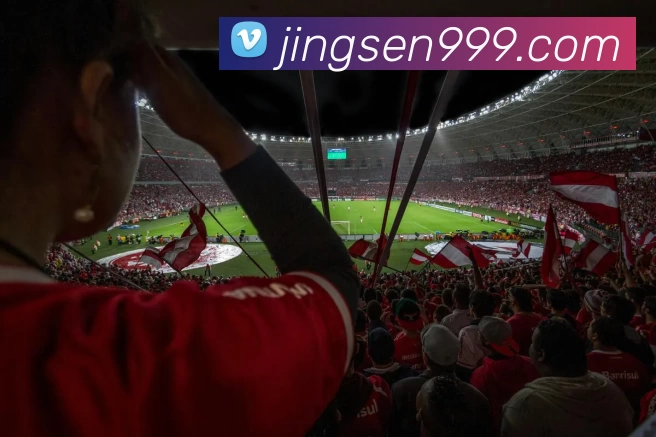 九游体育APP 封面图